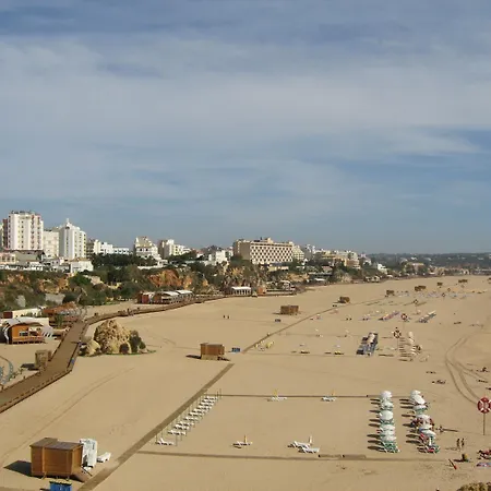 Avenida ホテル 3*